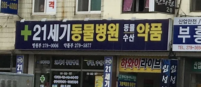 21세기동물병원 대표 이미지