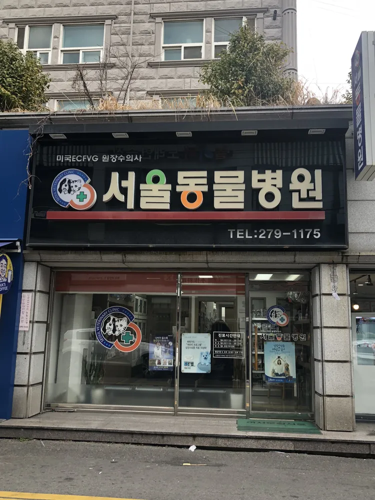 서울동물병원 대표 이미지