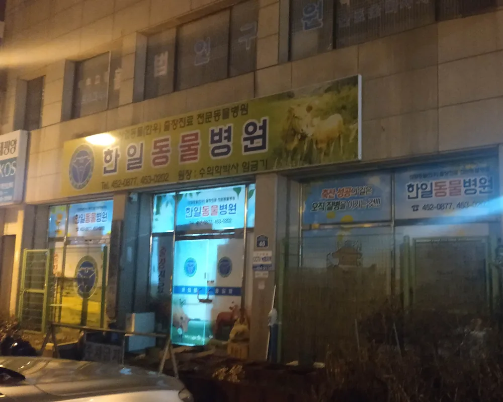 한일동물병원 대표 이미지