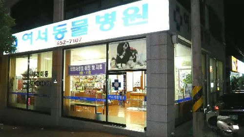 여서동물병원 대표 이미지