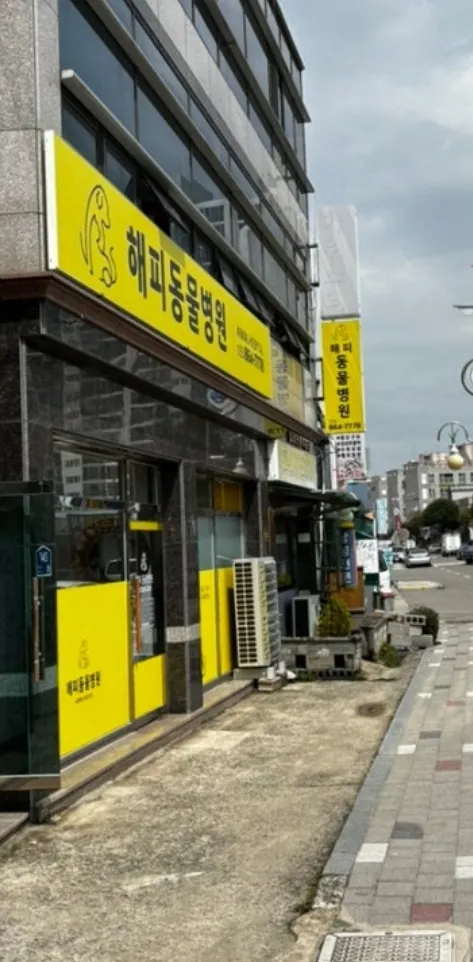 해피동물병원 대표 이미지