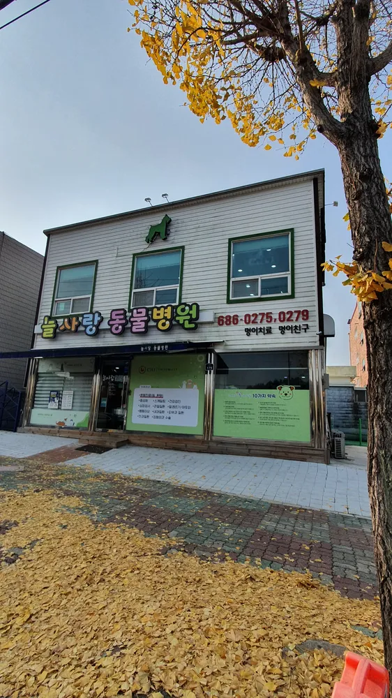 늘사랑양한방동물병원 대표 이미지