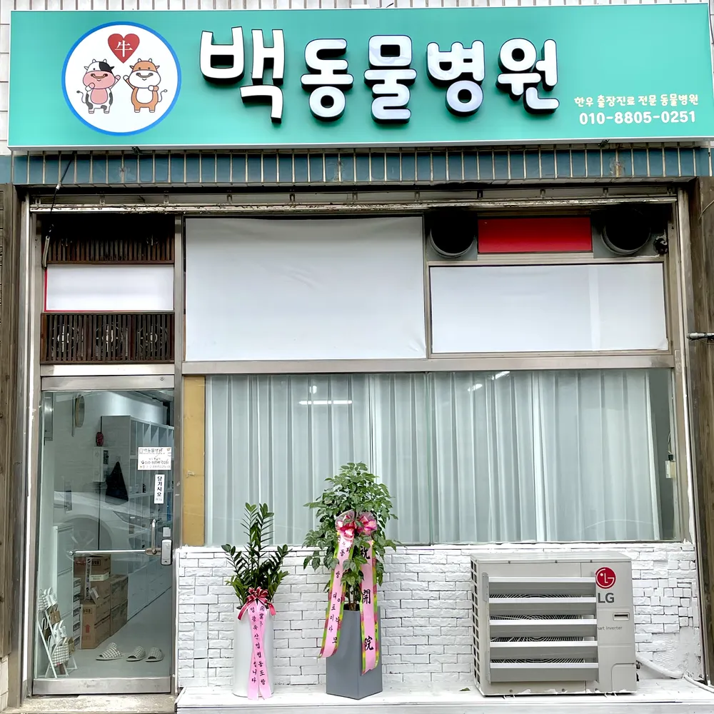 백동물병원 대표 이미지