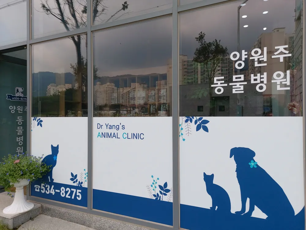 양원주동물병원 대표 이미지