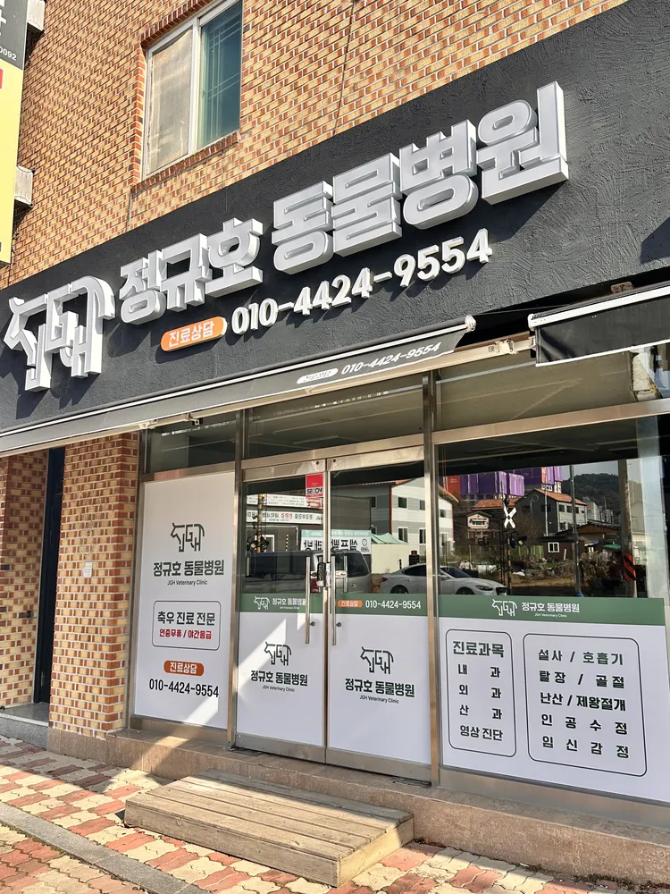 정규호동물병원 대표 이미지