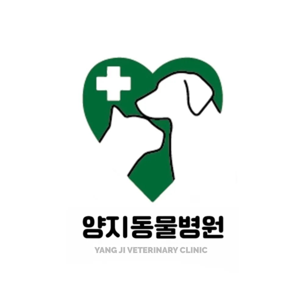 양지동물병원 대표 이미지