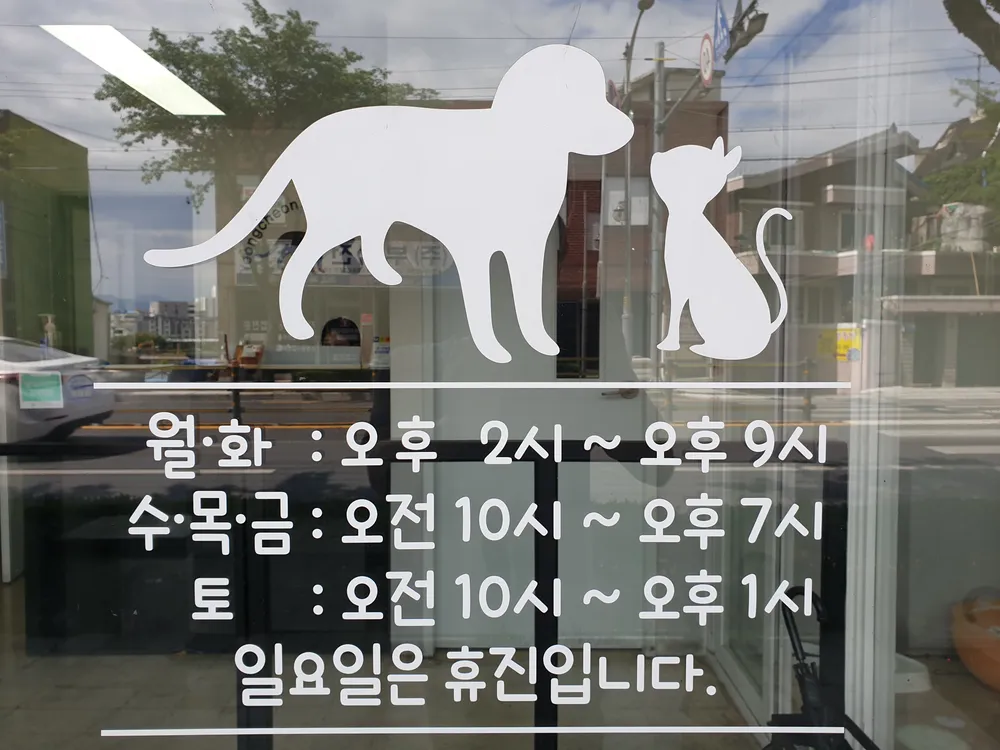 영천동물병원 대표 이미지