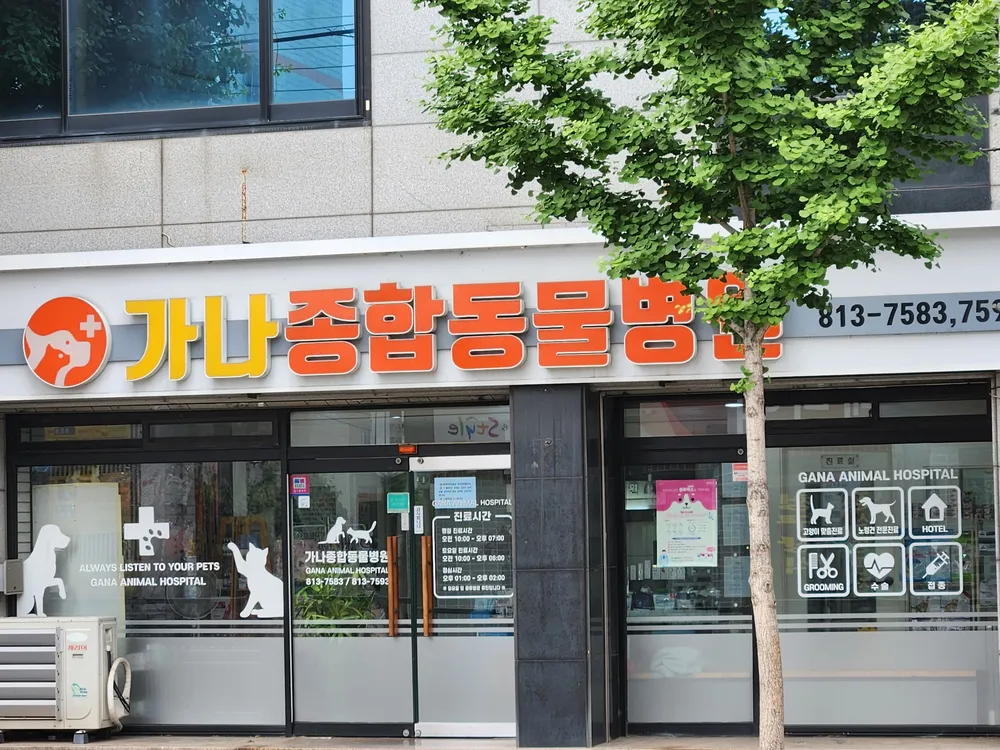 가나종합동물병원 대표 이미지