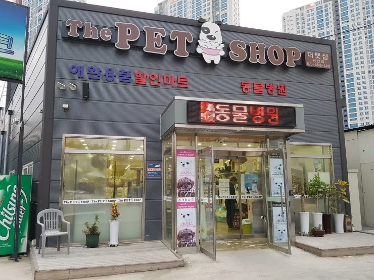 더샵동물병원 대표 이미지