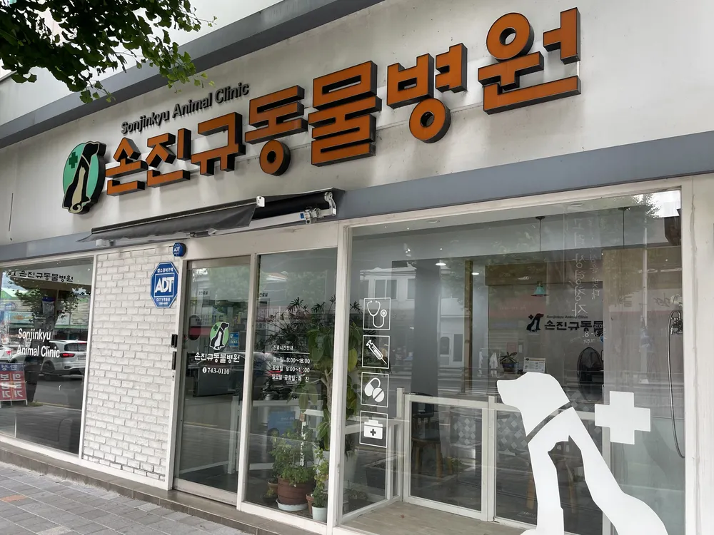 손진규동물병원 대표 이미지