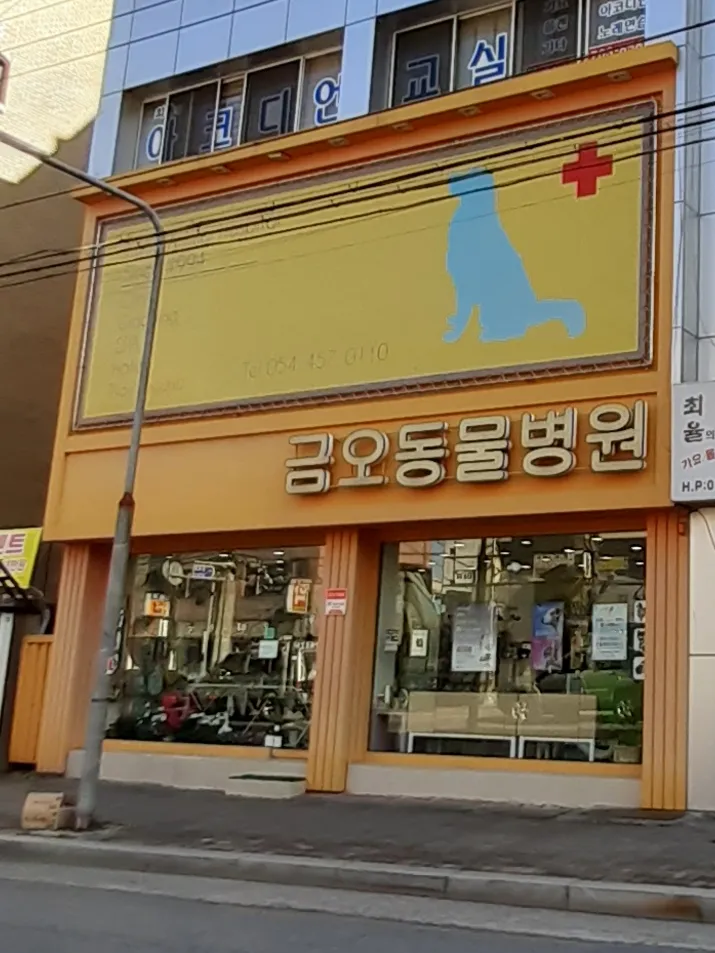 금오동물병원 대표 이미지