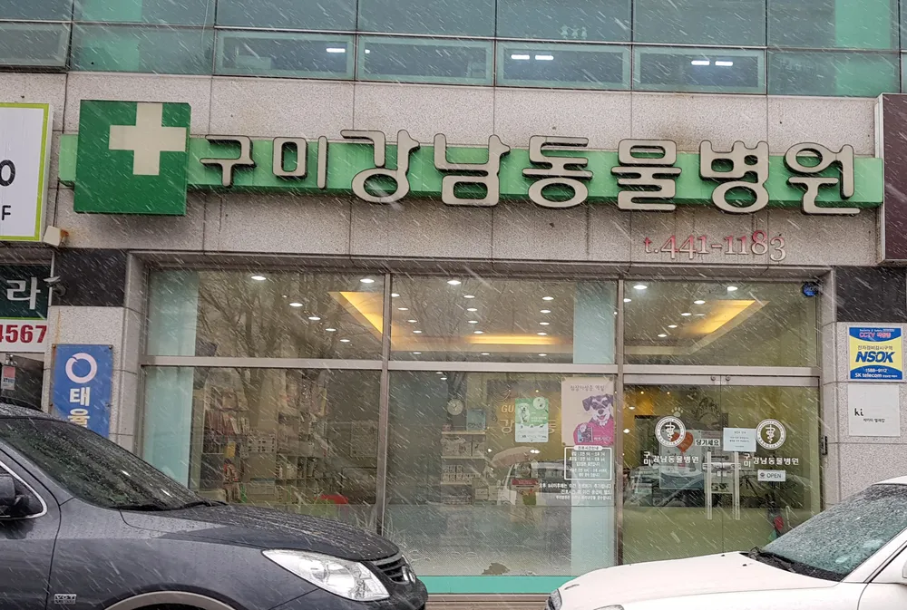 구미강남동물병원 대표 이미지
