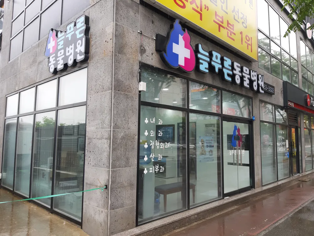 늘푸른동물병원 대표 이미지