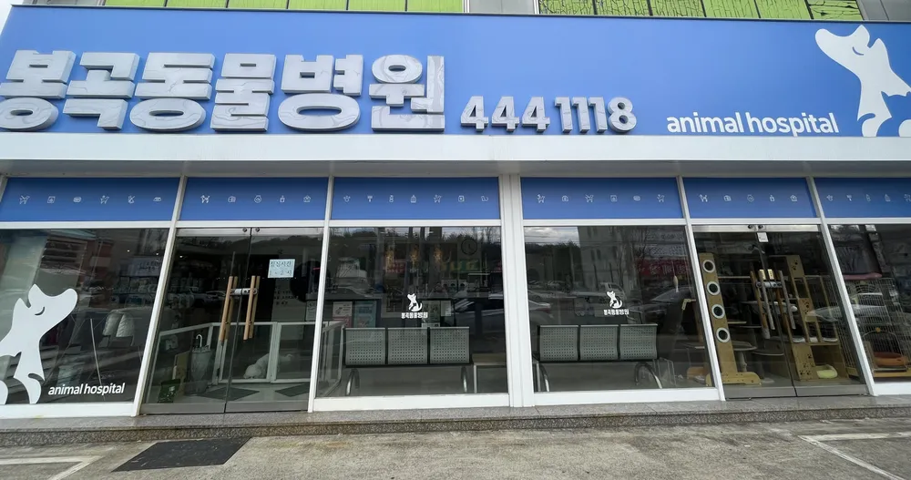 봉곡동물병원 대표 이미지