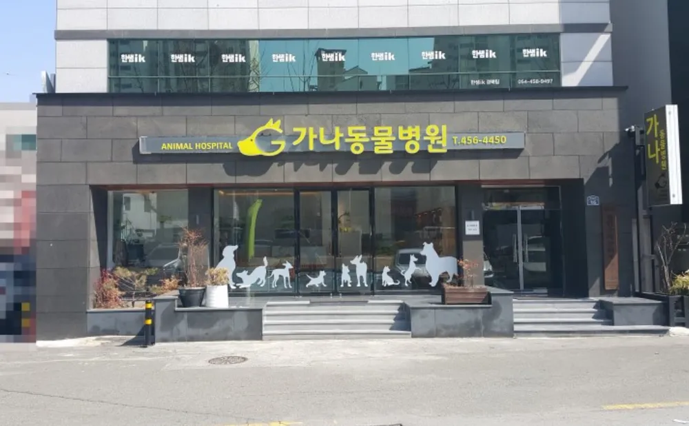 가나동물병원 대표 이미지