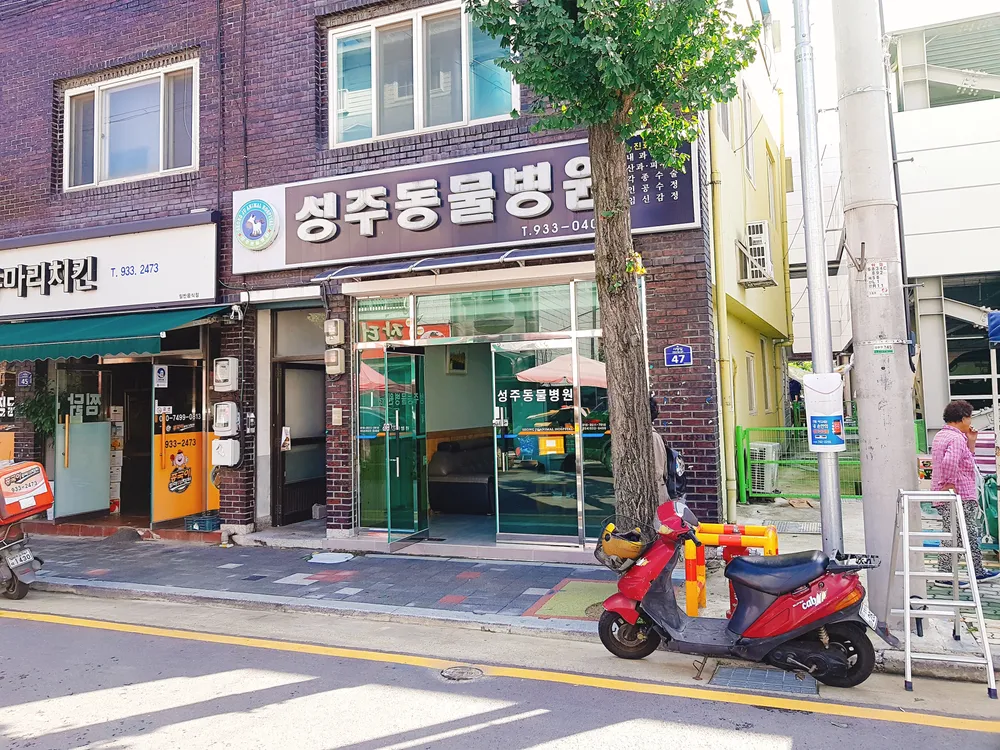 성주동물병원 대표 이미지