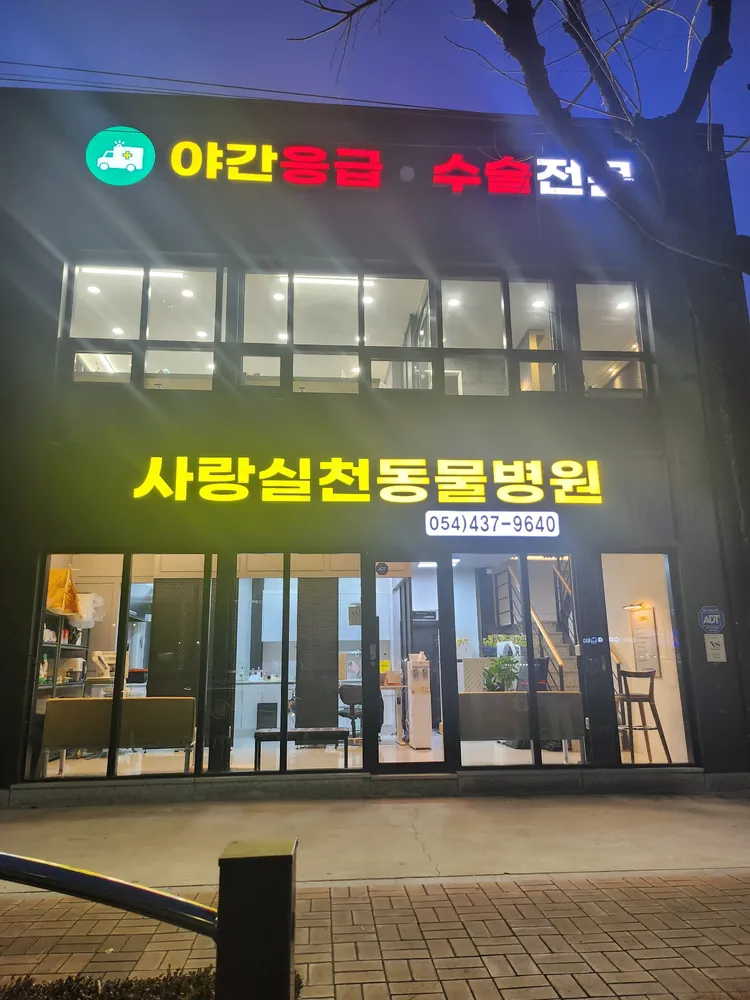 사랑실천동물병원 대표 이미지