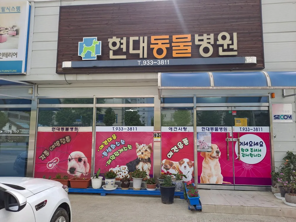 현대동물병원 대표 이미지