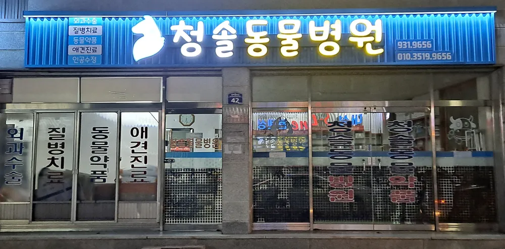 청솔동물병원 대표 이미지