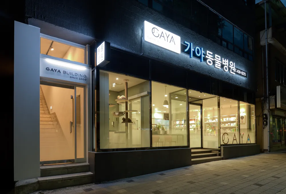 가야동물병원 대표 이미지
