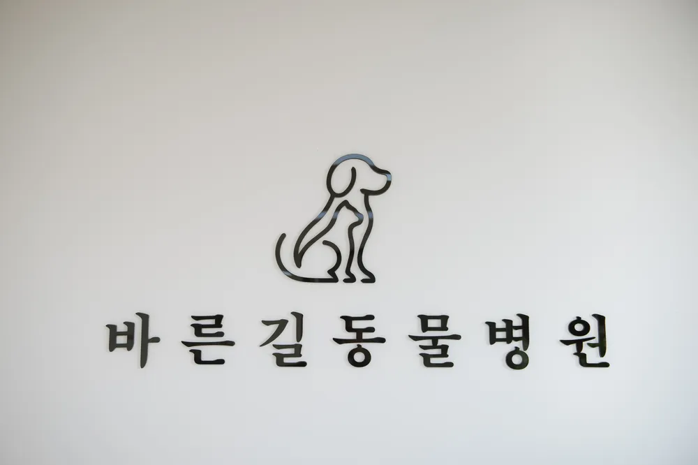 바른길동물병원 대표 이미지