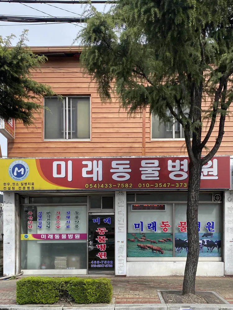 미래동물병원 대표 이미지