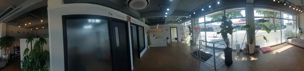 25세동물병원 대표 이미지