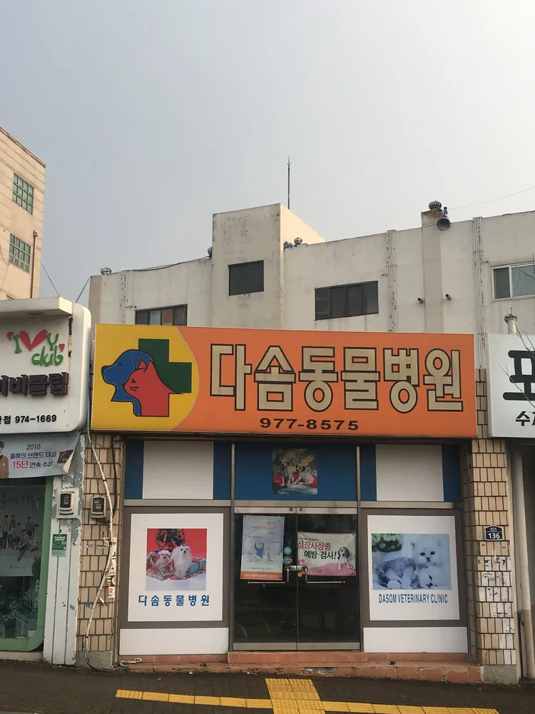 다솜동물병원 대표 이미지
