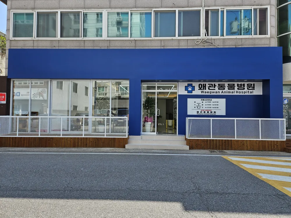 왜관동물병원 대표 이미지