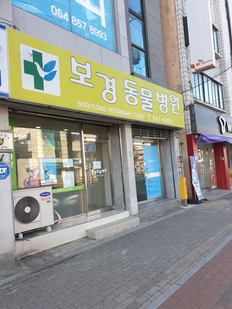 보경종합동물병원 대표 이미지