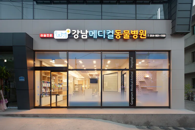강남메디컬동물병원 대표 이미지