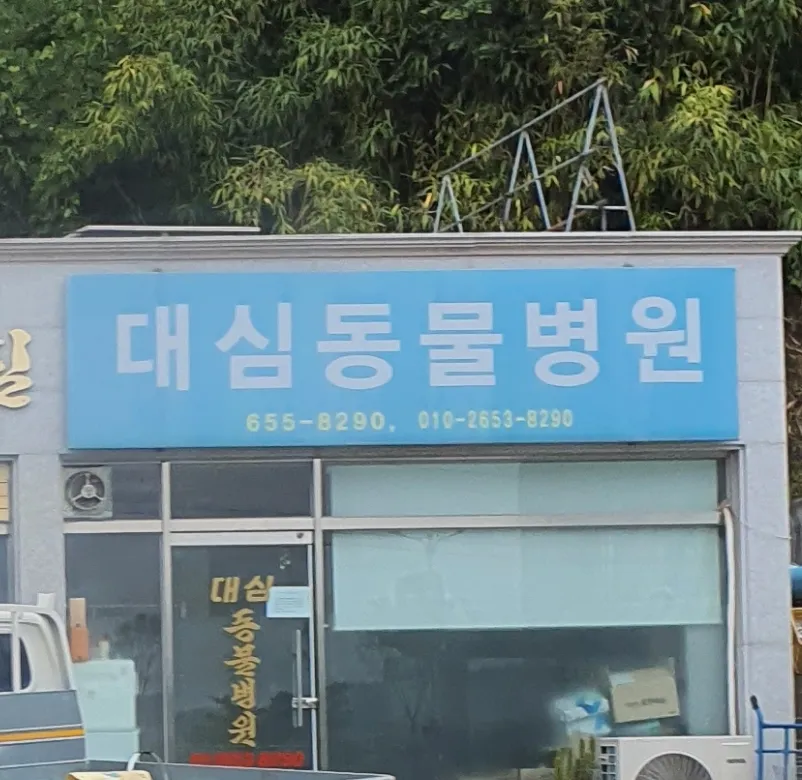 대심동물병원 대표 이미지