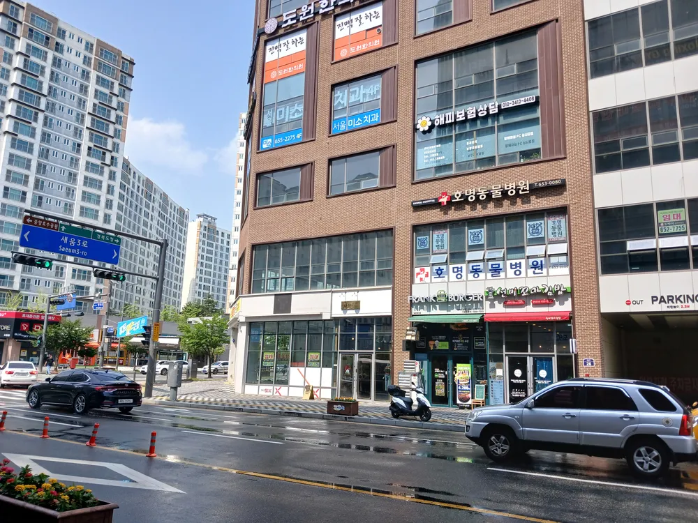 호명동물병원 대표 이미지
