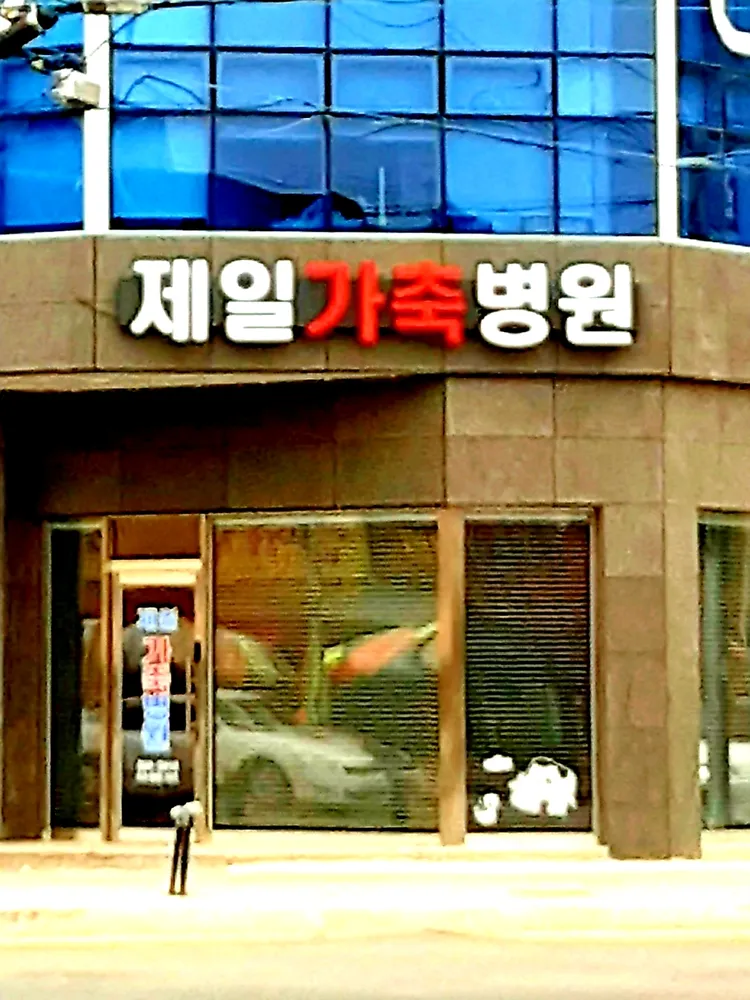 제일가축병원 대표 이미지