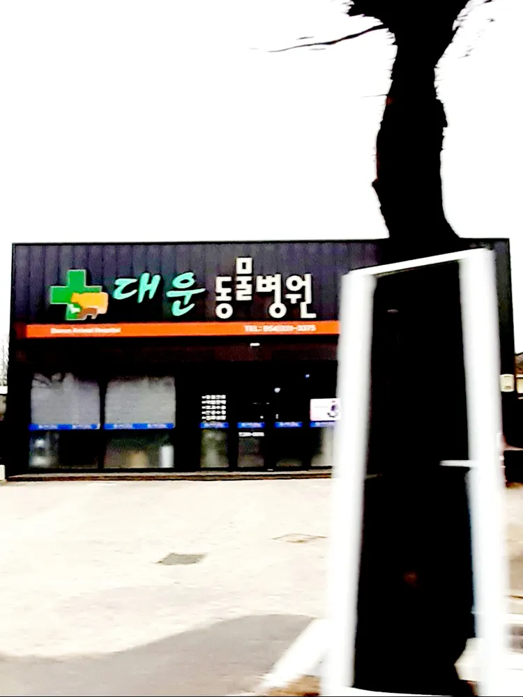 대운동물병원 대표 이미지
