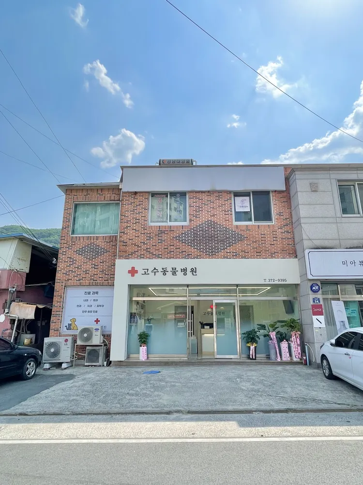 고수동물병원 대표 이미지