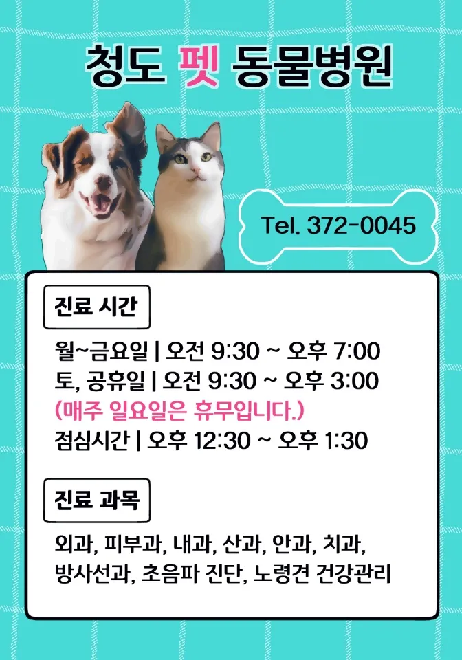 청도펫동물병원 대표 이미지