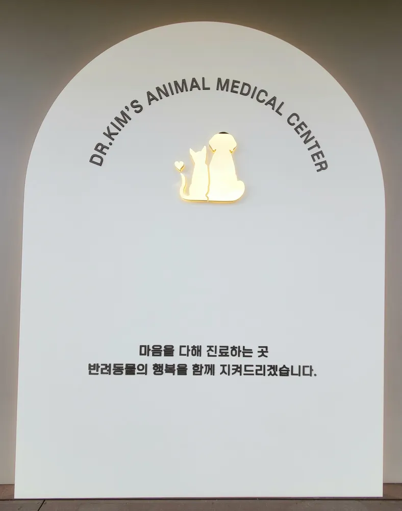 닥터김동물의료센터 대표 이미지