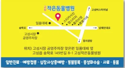 고성작은동물병원 대표 이미지
