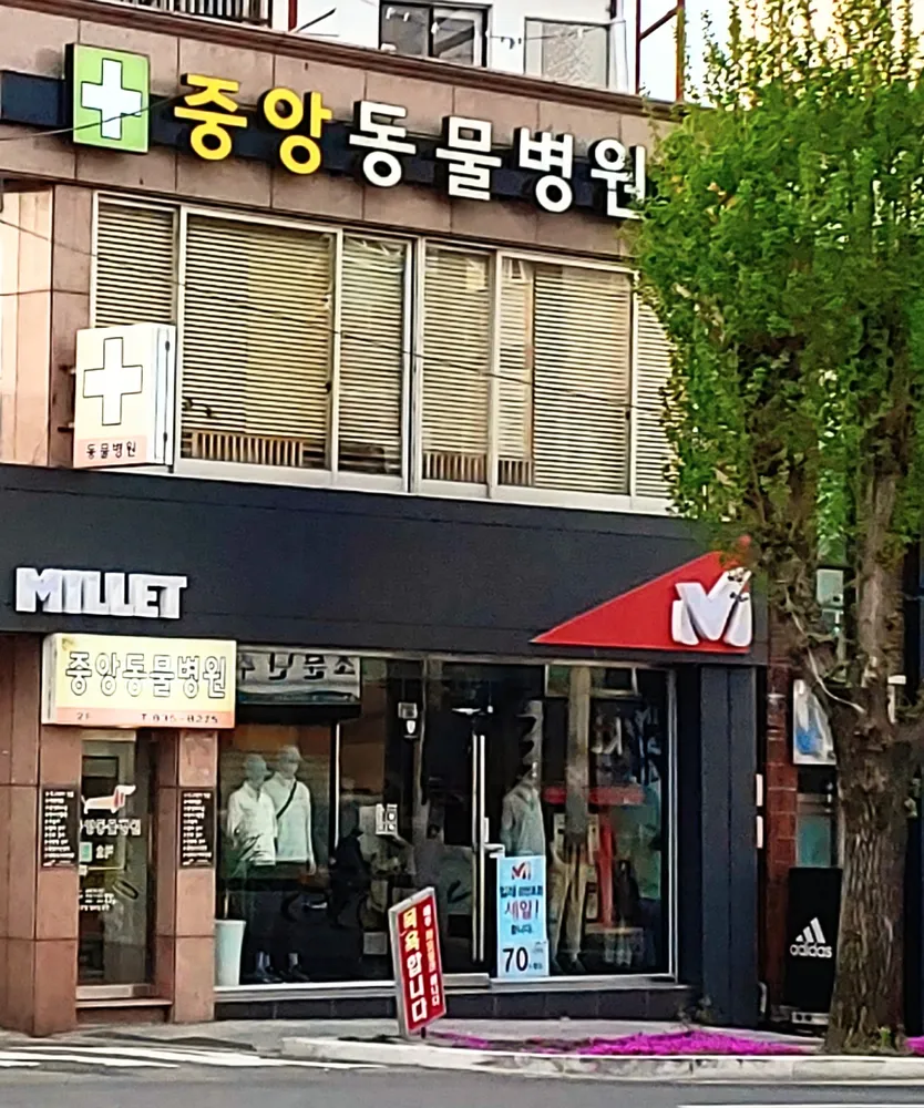 중앙동물병원 대표 이미지