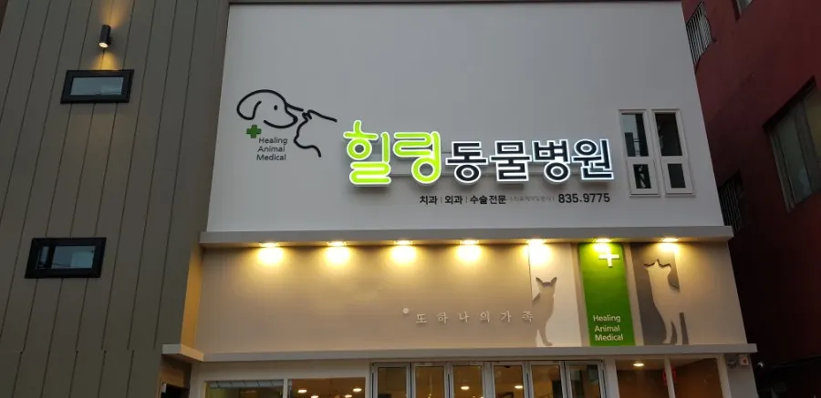 힐링동물병원 대표 이미지