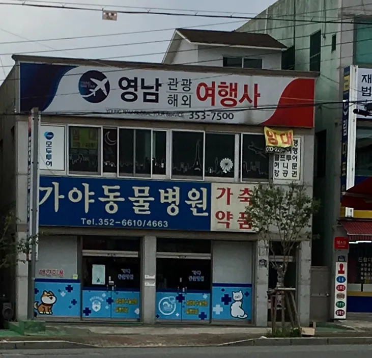 가야동물병원 대표 이미지