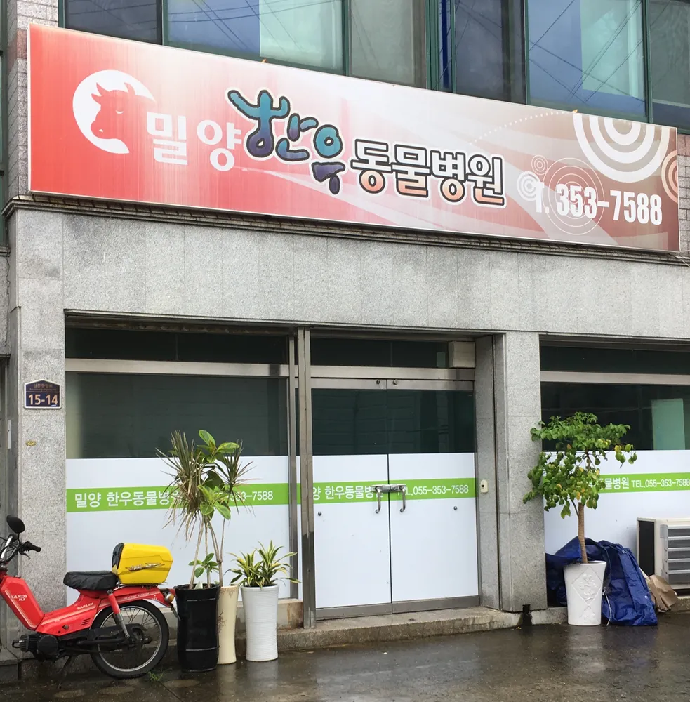 밀양한우동물병원 대표 이미지