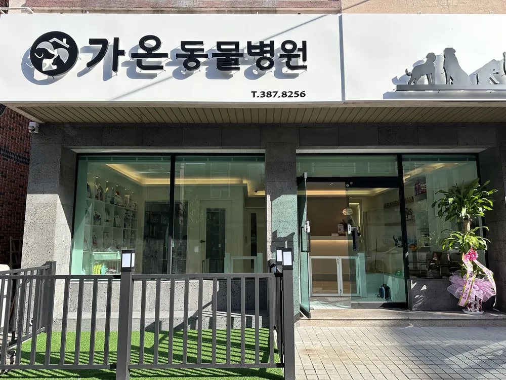 가온동물병원 대표 이미지