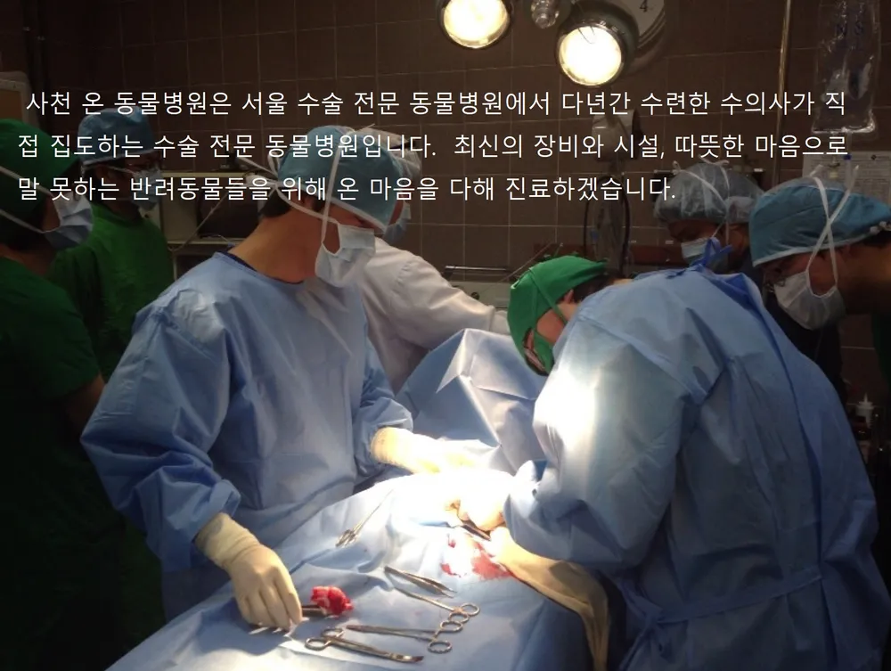 온동물병원 대표 이미지