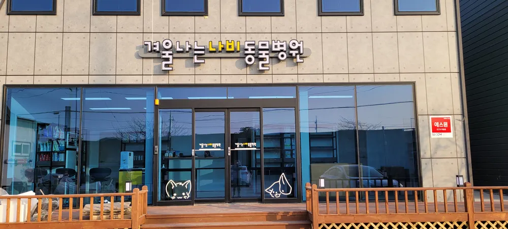 겨울나는나비동물병원 대표 이미지
