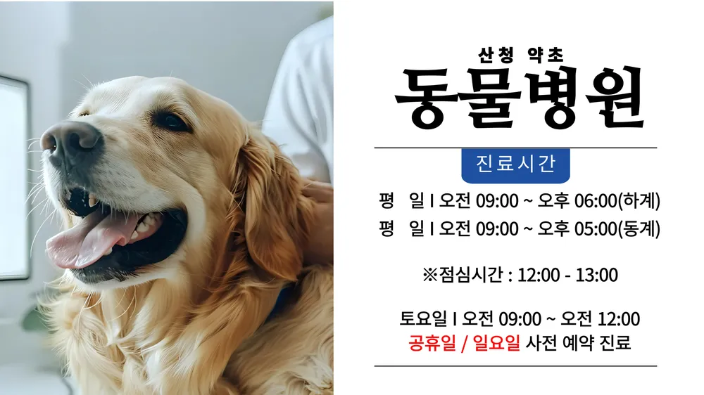 약초동물병원 대표 이미지