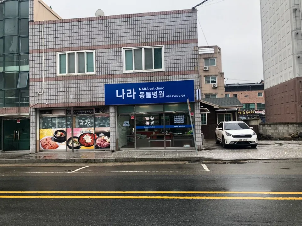 나라동물병원 대표 이미지