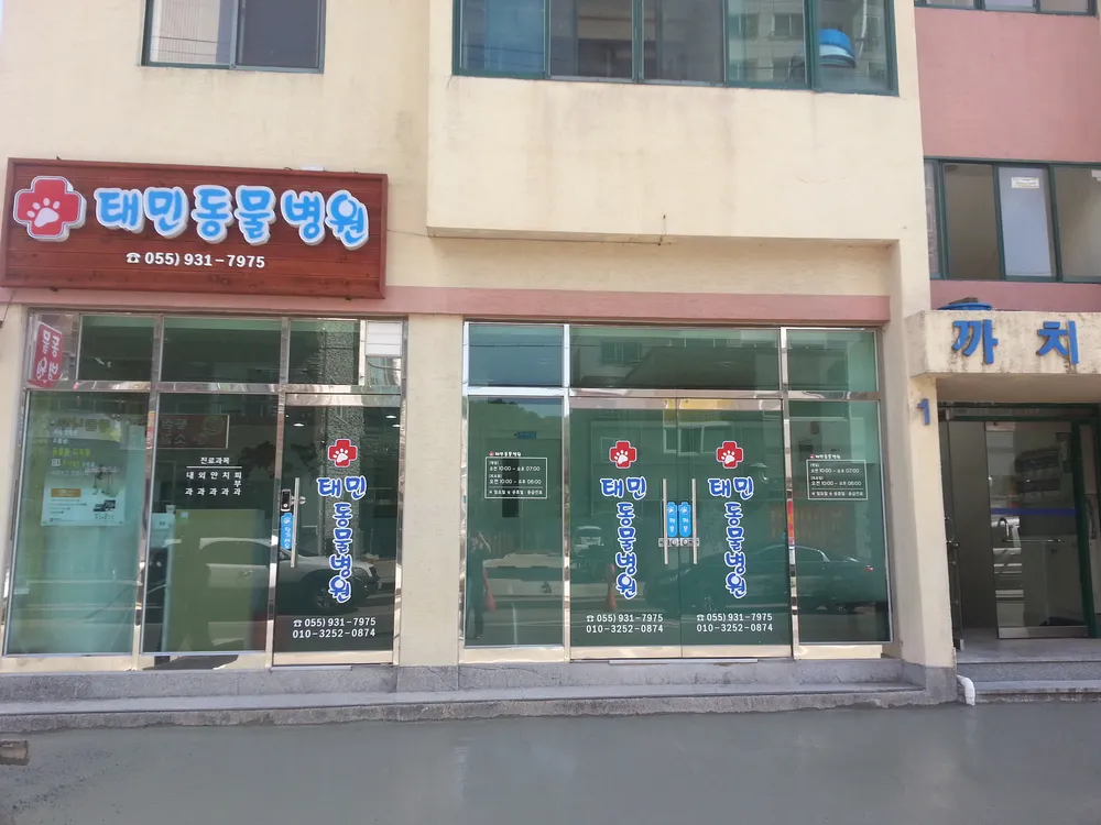 태민동물병원 대표 이미지