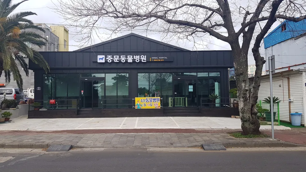 중문동물병원 대표 이미지